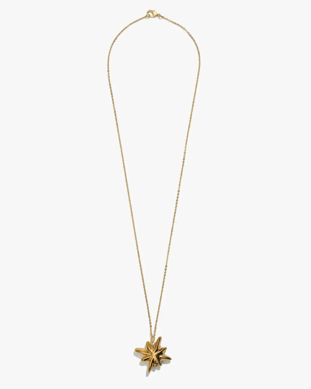 Drimota Pendant in Gold-Coated Star Shape