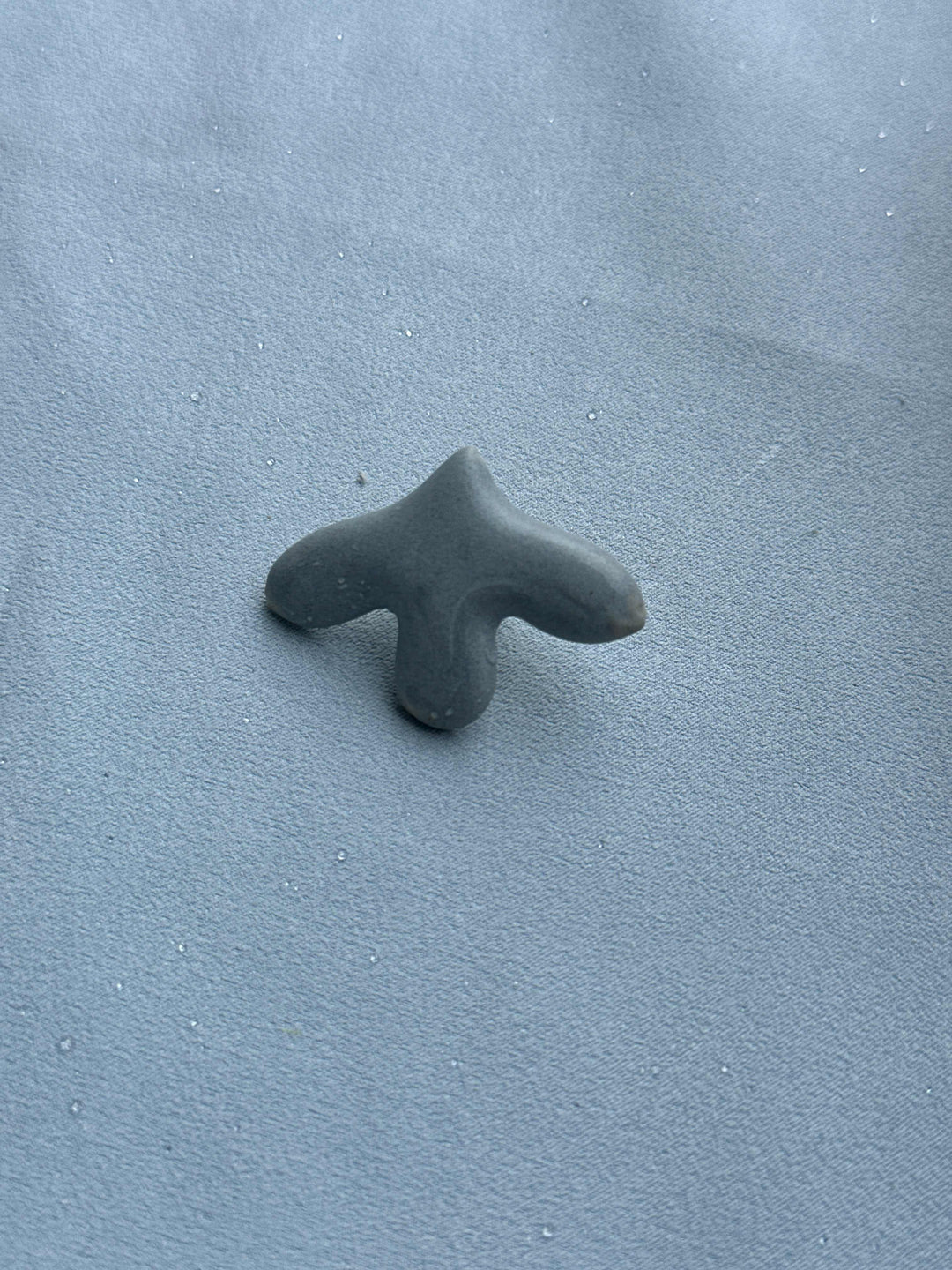 LITEPLO pin 2