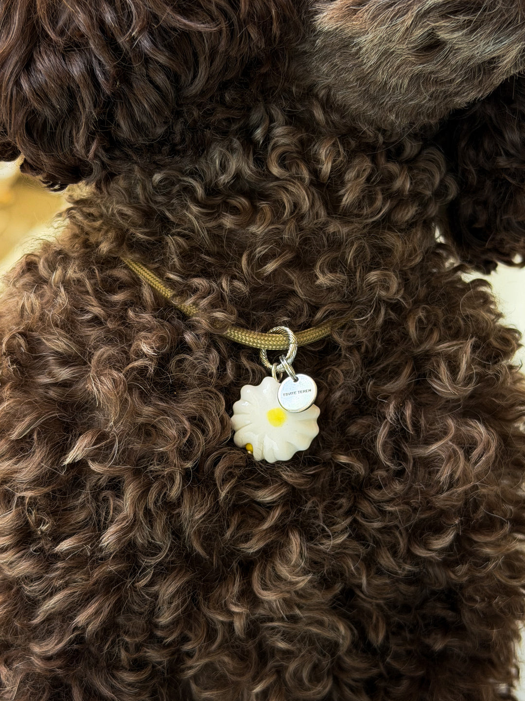 CAMOMILE dog pendant with a beige cord