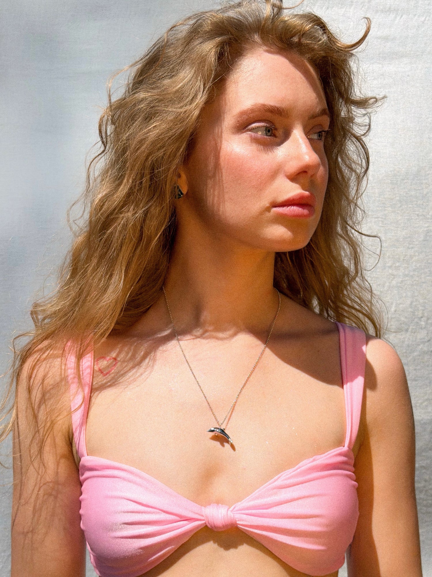 DOLPHIN pendant